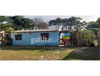 https://www.gallito.com.uy/casa-proxima-ruta-inmuebles-23522144
