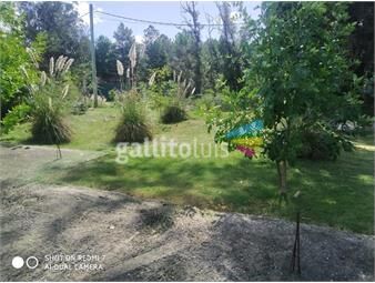 https://www.gallito.com.uy/lindo-terreno-barrio-san-rafael-paraje-la-terraza-inmuebles-23613165