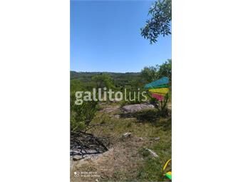 https://www.gallito.com.uy/venta-de-campo-de-5-hectareas-en-maldonado-inmuebles-23644849