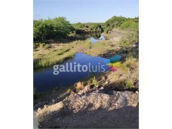 https://www.gallito.com.uy/espectacular-campo-en-venta-a-10km-de-la-ciudad-de-minas-inmuebles-23683452