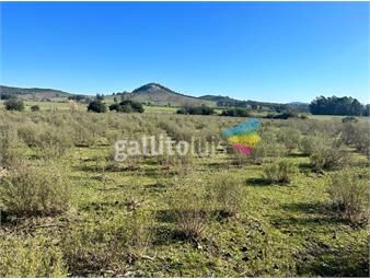 https://www.gallito.com.uy/excelente-terreno-de-94000-m2-suburbano-en-minas-inmuebles-24329032