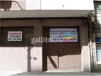 https://www.gallito.com.uy/magnifica-ubicacion-1200-mts-entrada-camiones-oficinas-inmuebles-24384011