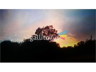 https://www.gallito.com.uy/solares-900m2-panoramicos-a-pasos-del-lago-inmuebles-25050433