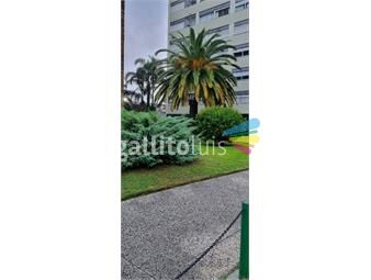 https://www.gallito.com.uy/bella-vista-vacio-3dorm-2baños-escritorio-vigilancia-inmuebles-25482516