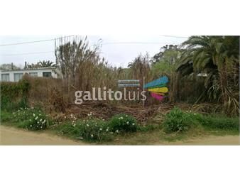https://www.gallito.com.uy/dueño-vende-terreno-en-la-pedrera-todo-al-dia-inmuebles-25523178