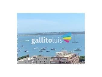 https://www.gallito.com.uy/dueño-vende-hermoso-apart-en-tfrancia-cvista-ambas-playas-inmuebles-25831046