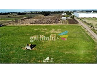 https://www.gallito.com.uy/venta-de-terrenos-9-has-ruta-5-las-piedras-canelones-inmuebles-25868948