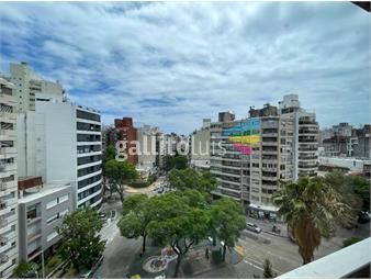 https://www.gallito.com.uy/monoambiente-en-venta-al-frente-piso-8-pocitos-inmuebles-25888999