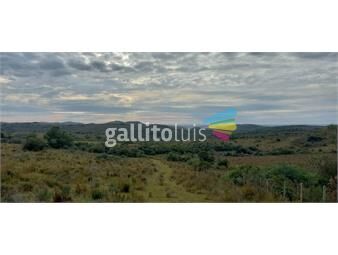 https://www.gallito.com.uy/campo-turistico-ganadero-en-isla-patrulla-inmuebles-25931408