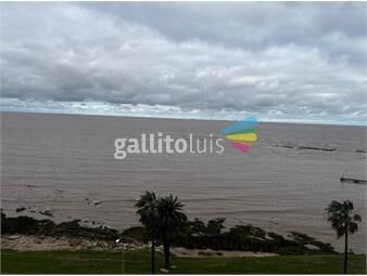 https://www.gallito.com.uy/piso-alto-vista-inmejorable-inmuebles-25959362