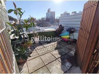 https://www.gallito.com.uy/comodo-apto-facultades-espacios-verdes-luminoso-terraza-inmuebles-25968184