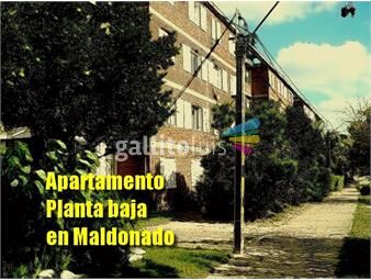 https://www.gallito.com.uy/apartamento-panta-baja-en-maldonado-inmuebles-26027253