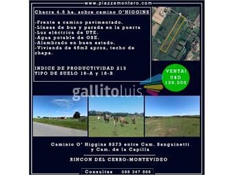 https://www.gallito.com.uy/vende-chacra-45-ha-rincon-del-cerro-inmuebles-26844103