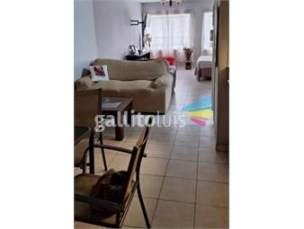 https://www.gallito.com.uy/monoambiente-de-gran-metraje-proximo-plaza-cagancha-ort-inmuebles-25598033