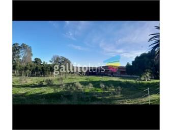 https://www.gallito.com.uy/20-ha-campo-2-casas-galpon-agua-y-luz-inmuebles-27026423