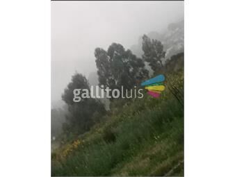 https://www.gallito.com.uy/terreno-en-cerro-inmuebles-26122485