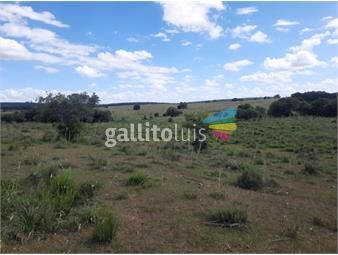 https://www.gallito.com.uy/se-venden-57-ha-de-campo-a-20-km-de-la-ciudad-de-treinta-inmuebles-26208538