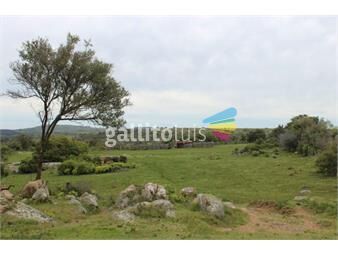 https://www.gallito.com.uy/venta-campo-55-hectareas-camino-cerro-pelado-lavalleja-inmuebles-26257370