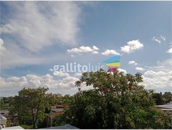 https://www.gallito.com.uy/alquilo-apto-impecable-en-sayago-hermosa-vista-y-no-gc-inmuebles-26273118