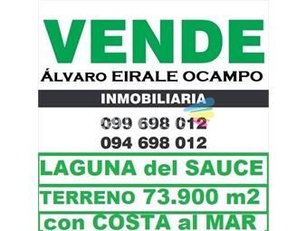 https://www.gallito.com.uy/2025-laguna-del-sauce-terreno-73900-m2-con-costa-inmuebles-26307634