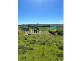 https://www.gallito.com.uy/campo-ganadero-en-venta-inmuebles-26320143