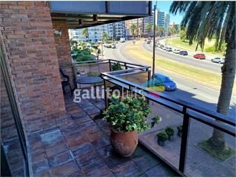 https://www.gallito.com.uy/bajo-exclusiva-planta-frente-al-puerto-del-buceo-inmuebles-24323991