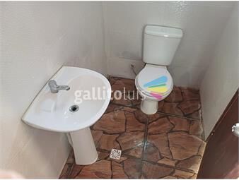 https://www.gallito.com.uy/apartamento-planta-alta-a-nuevo-inmuebles-26004933