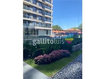 https://www.gallito.com.uy/amplio-monoambiente-con-terraza-a-estrenar-en-estrellas-inmuebles-26406993