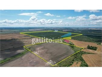 https://www.gallito.com.uy/venta-campo-en-soriano-264-ha-inmuebles-26442674