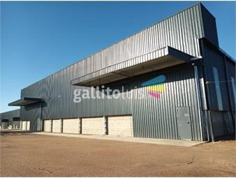 https://www.gallito.com.uy/galpon-logistico-2000-m2-a-estrenar-en-colonia-nicolich-inmuebles-26617168