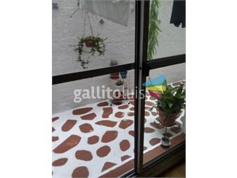 https://www.gallito.com.uy/universidad-proxtodos-los-ambientes-con-ventanas-inmuebles-26621281