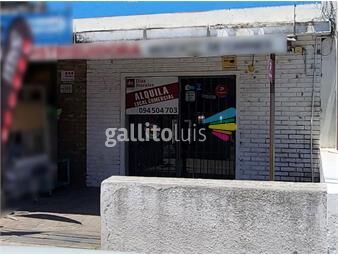 https://www.gallito.com.uy/en-el-centro-del-centro-de-malvin-inmuebles-26670500