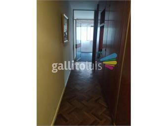 https://www.gallito.com.uy/se-alquila-apartamento-centro-1-dormitorio-calle-san-jose-inmuebles-26701699