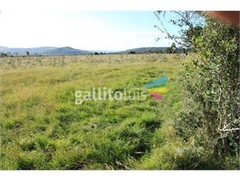 https://www.gallito.com.uy/campo-ganadero-cerca-de-aigua-800-ha-inmuebles-26723648