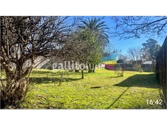 https://www.gallito.com.uy/estupendo-terreno-nivelado-cercado-con-altos-muros-arbolad-inmuebles-26874429