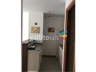 https://www.gallito.com.uy/constituyente-1-dormitorio-piso-7-exterior-barbacoas-inmuebles-26875165