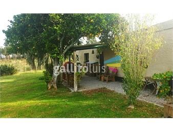 https://www.gallito.com.uy/chacra-en-venta-encanto-rural-cerca-de-castillos-inmuebles-26983972