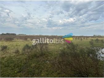 https://www.gallito.com.uy/dueña-vende-campo-a-5-mnutos-de-lascano-inmuebles-27037039