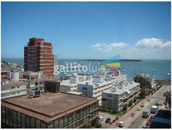 https://www.gallito.com.uy/apartamento-en-punta-del-este-peninsula-playa-del-este-r-inmuebles-17399124