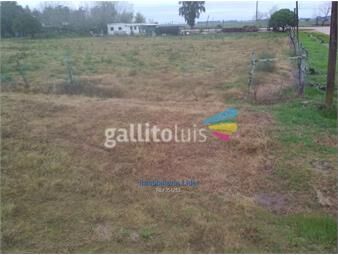 https://www.gallito.com.uy/oportunidad-excelente-precio-inmuebles-19254184