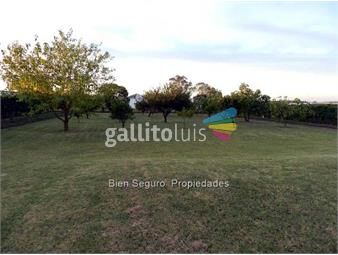 https://www.gallito.com.uy/gran-terreno-en-venta-en-camino-de-las-colmenas-cw70107-inmuebles-11960950