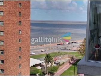 https://www.gallito.com.uy/venta-apartamento-2-dormitorios-centro-inmuebles-19492335