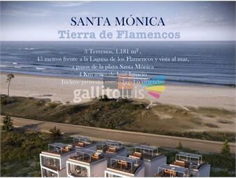 https://www.gallito.com.uy/terreno-en-playa-santa-monica-inmuebles-19326397