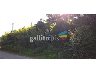 https://www.gallito.com.uy/terreno-en-punta-del-este-golf-inmuebles-18750000