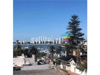 https://www.gallito.com.uy/apartamento-puerto-inmuebles-19384715