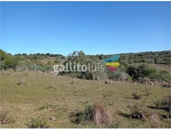 https://www.gallito.com.uy/campo-en-venta-maldonado-ganadero-y-forestal-inmuebles-20681712