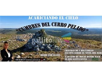 https://www.gallito.com.uy/venta-de-chacras-de-5-hectareas-en-altura-350-mts-inmuebles-20036997