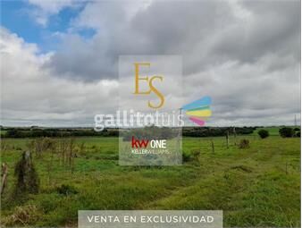 https://www.gallito.com.uy/campo-unico-con-manantial-de-agua-potable-colonia-inmuebles-21563344