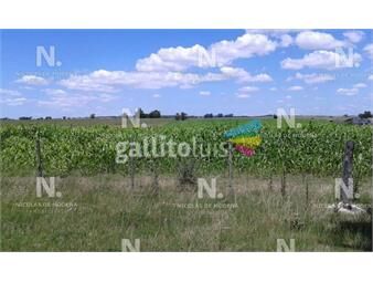 https://www.gallito.com.uy/campo-en-florida-inmuebles-21563598