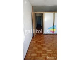 https://www.gallito.com.uy/apartamento-cordon-mono-de-40m²-division-gc-aprox-2900-inmuebles-21640592